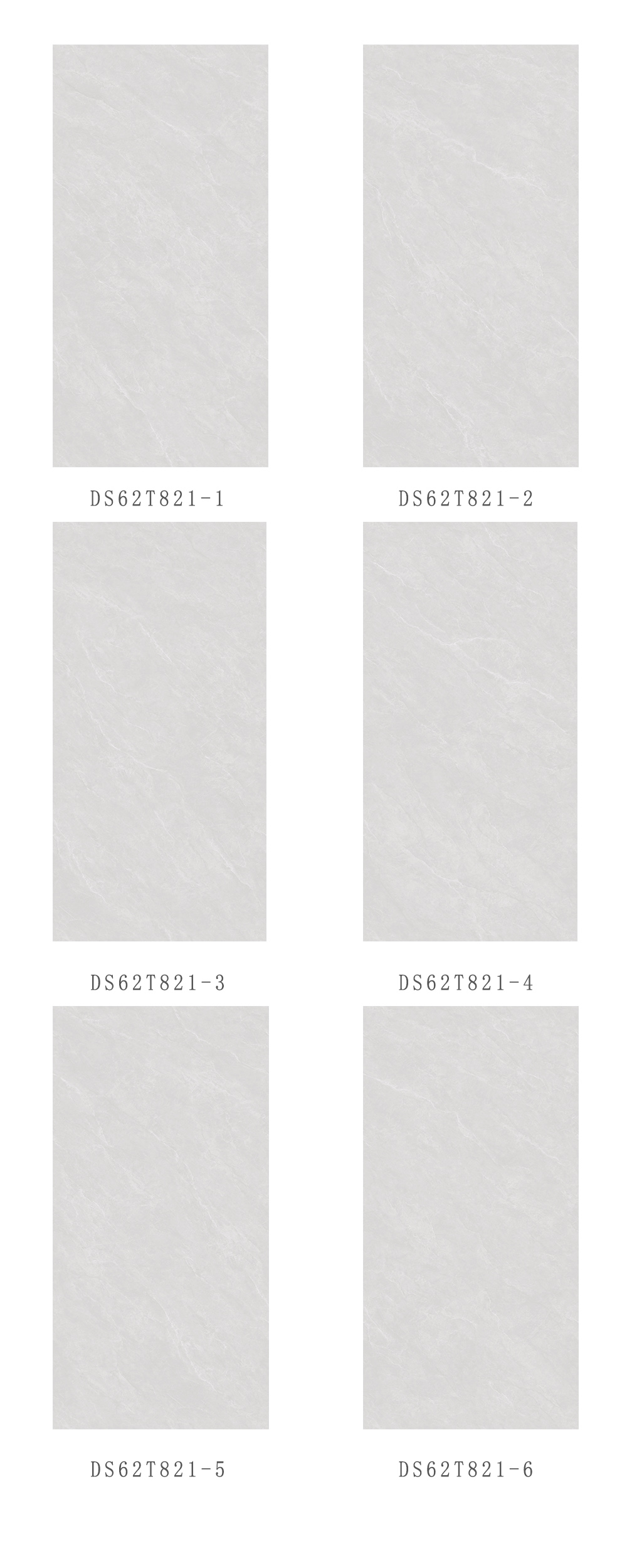 DS62T821.jpg